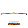 bilancino per skid con portata massima Kg.350